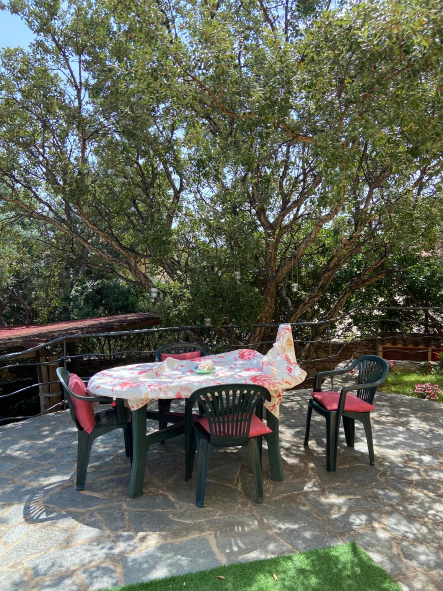 Case Vacanze Villa Rosita Сан-Теодоро Экстерьер фото
